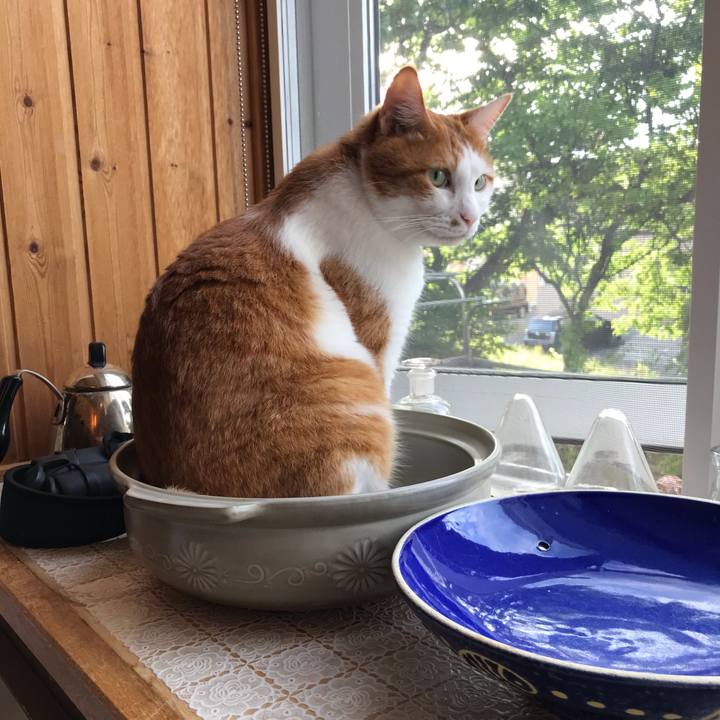 Ce4b2700 15c1 4da1 a4dc 15bf994ab945 1597180587578