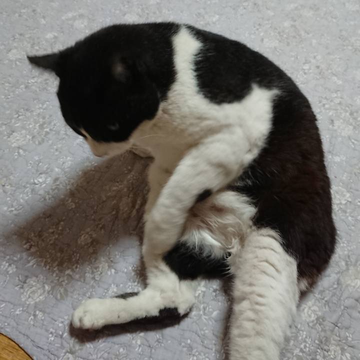 Ce4b6802 fa31 4fe9 a976 34c41f2cdc11 1620963616442