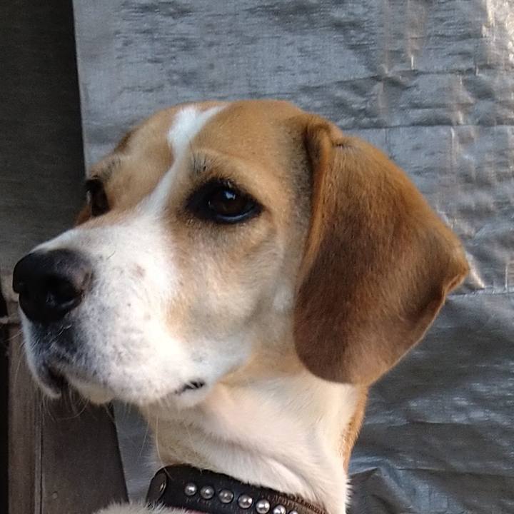 Ce4b6885 bc7b 4307 98a2 60ffb0ae7219 1637928582424