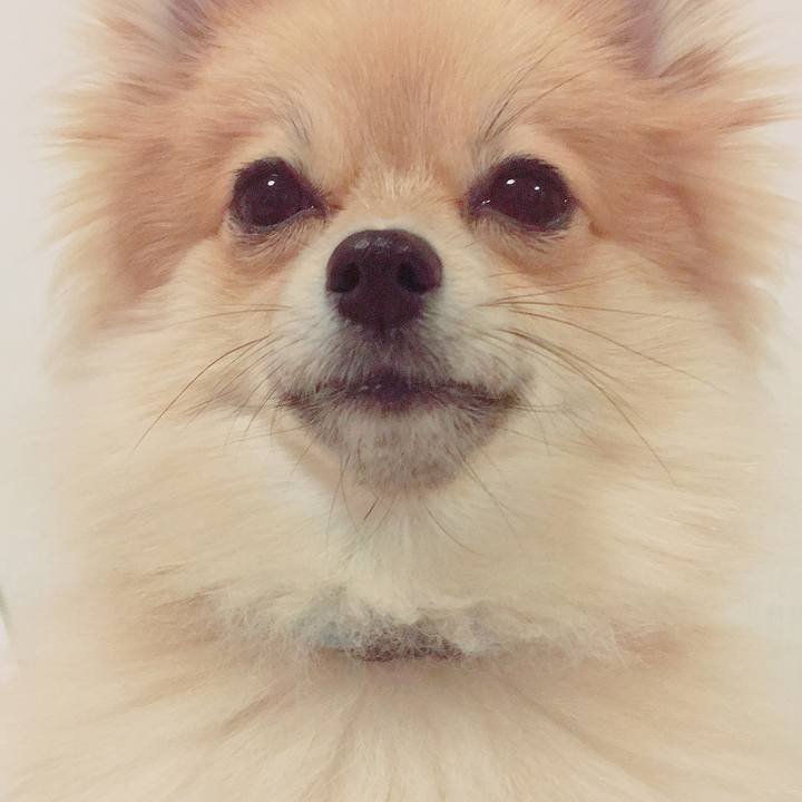 Ce4b7a36 0139 4d0d 9183 bf161a9a6692 1518783691300