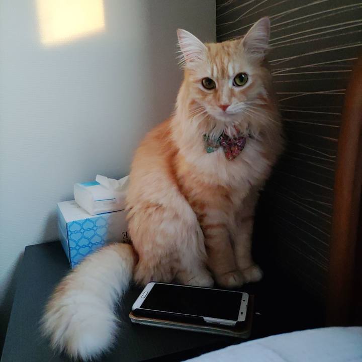 Ce4bb582 384d 474c 8648 19f61cba22e3 1660600342582