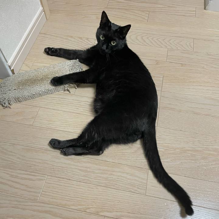 Ce4bf172 a4b9 4157 b1af fba36ee8eee4 1651929584849