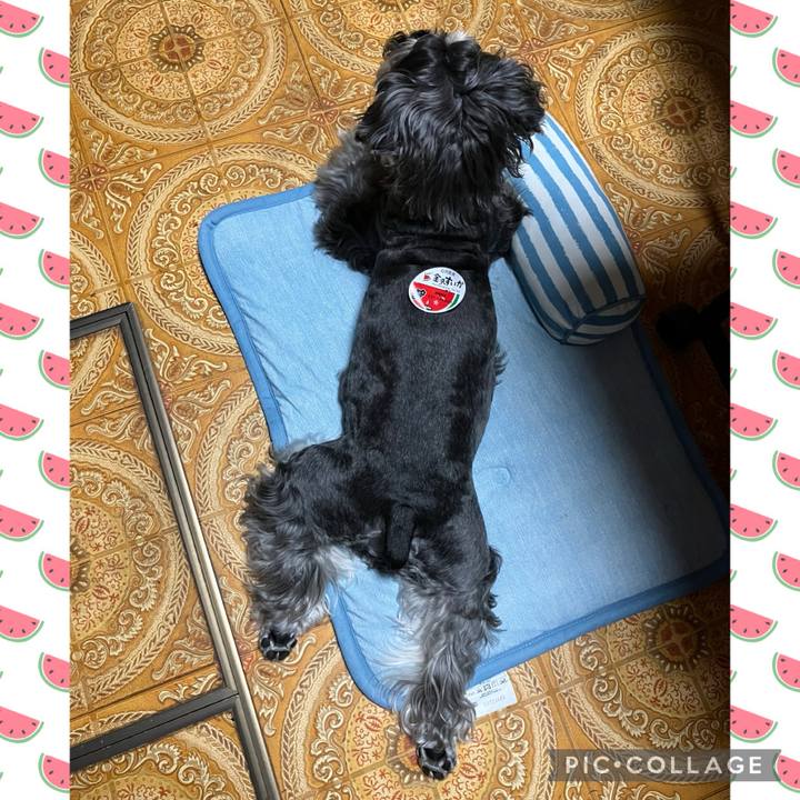 Ce4c39ef 0ecc 4f36 91cc d6820c320174 1718697620816