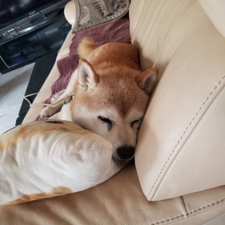 Ce4c6782 c8ec 4f77 a267 7735c1f9da63 1723077946531