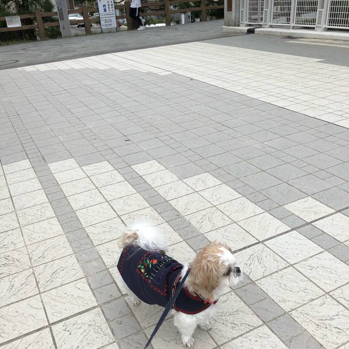 Ce4c791f dc20 4a75 ba7b b1d682807549 1604613517762