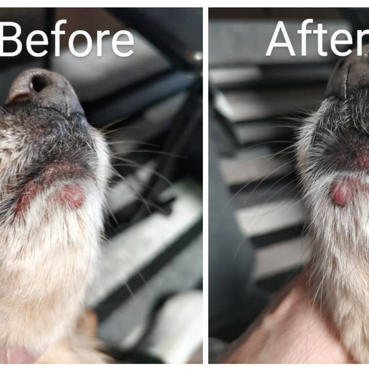 Ce4d07d4 a33a 4d00 83c1 4f1dd1691c46 1736849684918