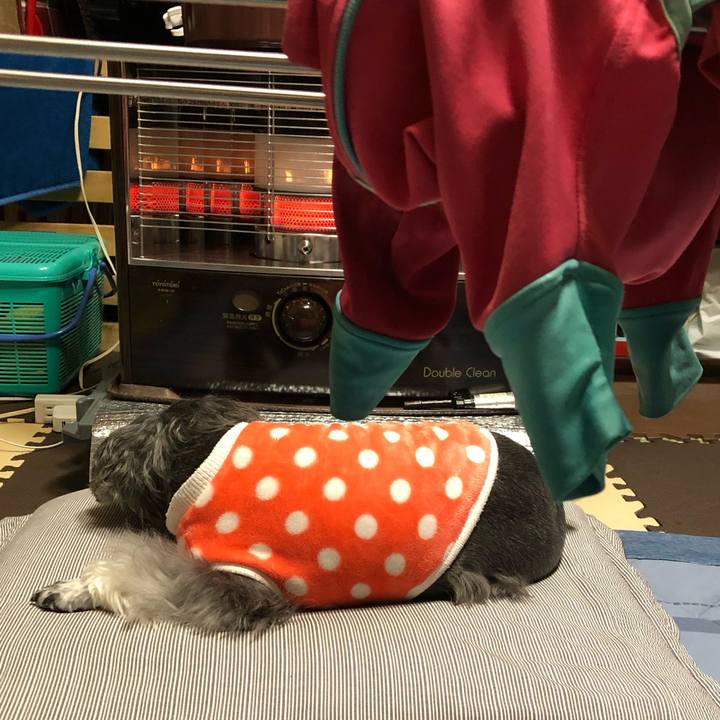 Ce4d14cc 048e 4582 95df e7d35db2ba39 1701594717876