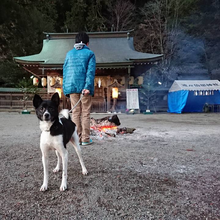 Ce4d2a52 4dad 47a5 92da a4dd34c93b21 1514882092168