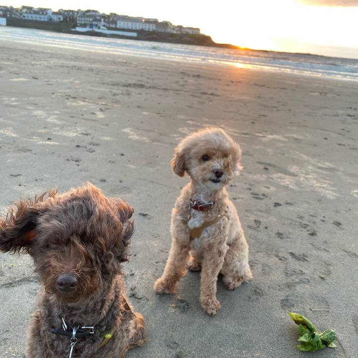 Ce4d33f7 9344 47aa 89de e5cba2892f8d 1598647640850