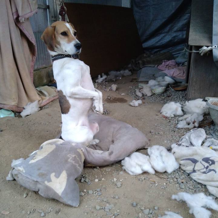 Ce4d9a15 06c8 497d 97fa b44db29bbce4 1636359082971