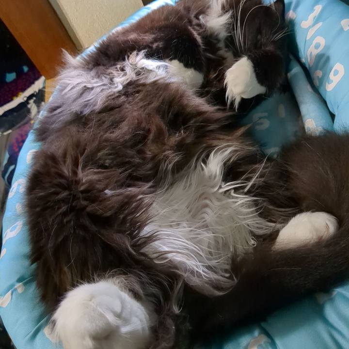 Ce4dabe6 382a 4752 a12c 3e17be4a0eeb 1680678593152