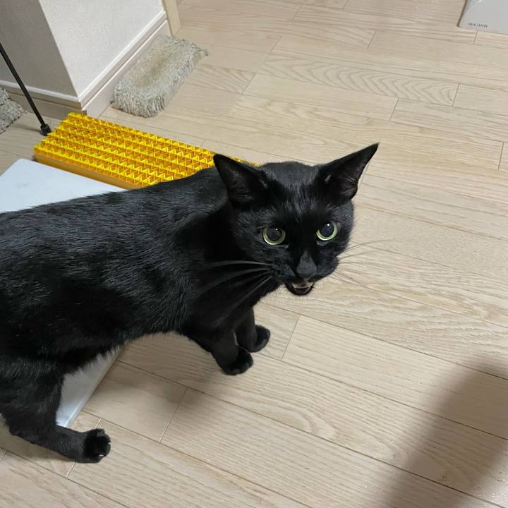 Ce4dcd66 7ff3 47ed 9386 7857a85df002 1664892693262