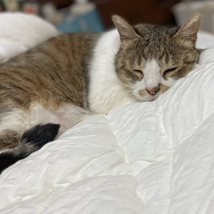 Ce4dd272 39f4 4c64 9ce9 6f90a13eddf7 1713934790169