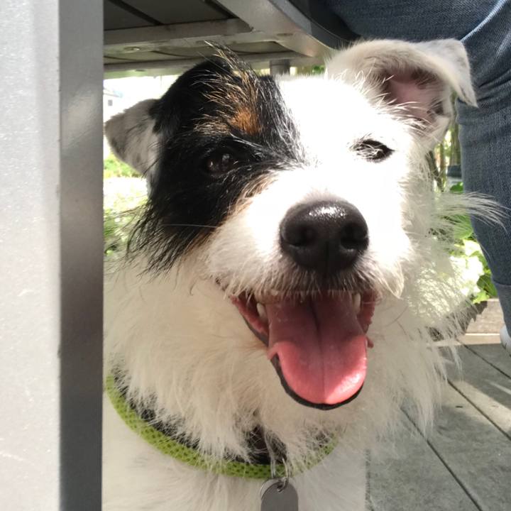 Ce4df5d2 7e21 4394 9867 3d99743971a5 1527989542183