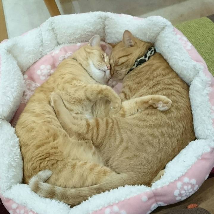 Ce4e021c b1fc 4dc5 89b7 f1f28600b21e 1556444893357