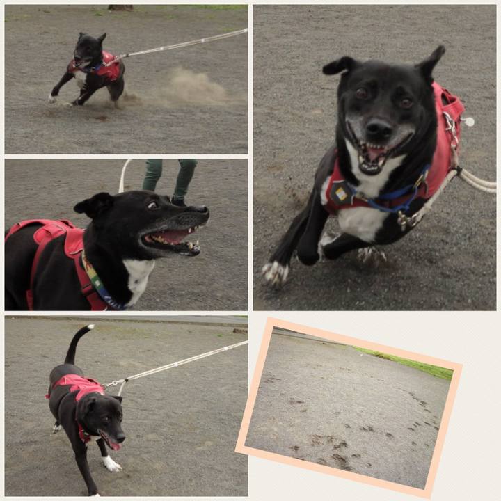 Ce4e27b6 2caf 41f6 b2c4 848b4c28a4d4 1684978141234