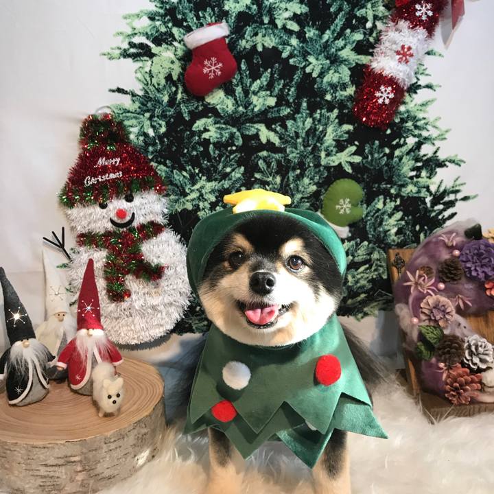 Ce4e3468 9347 4341 ba98 4cf8b4cc0e34 1545625941924