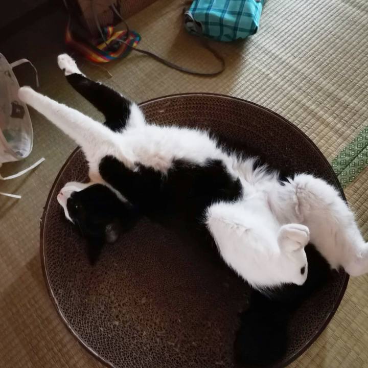 Ce4ec134 7f07 45b0 8f80 cd33b7421a17 1690862015665