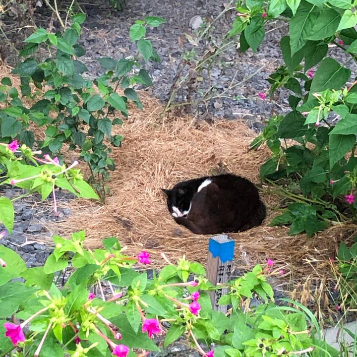 Ce4ecece 8981 42f1 8ceb 1d136898db4b 1595254247718