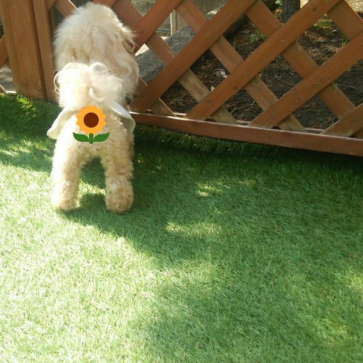 Ce4ee2df d484 4567 b184 4982b040c7e6 1553848896397