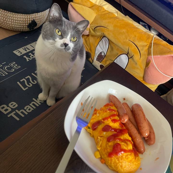 Ce4f3505 8025 458e a3df b08613d895d1 1739833711127