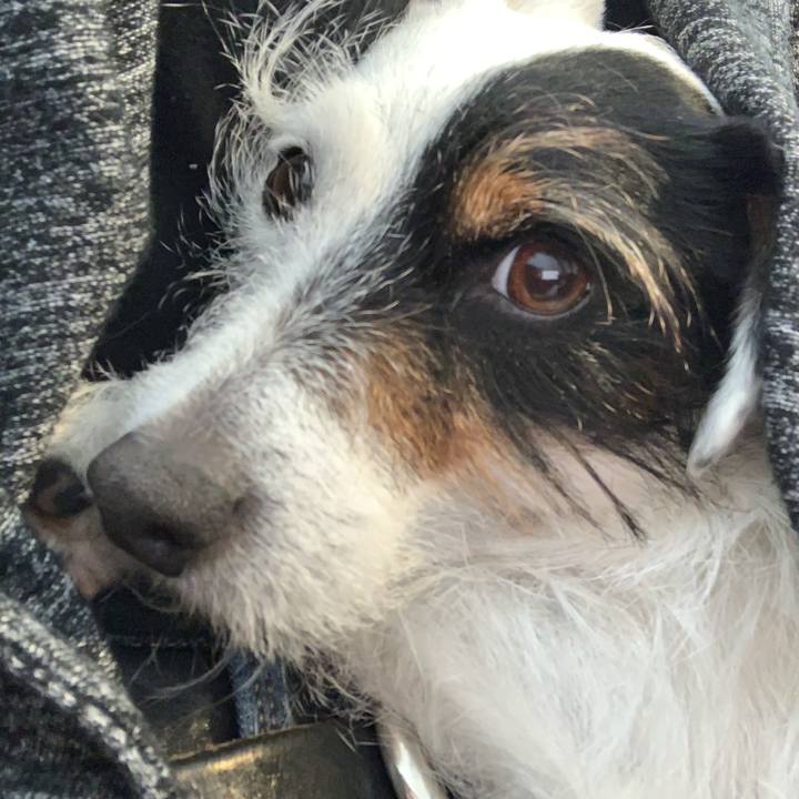 Ce4f512b 3f59 4810 aec9 cbbfddebce00 1615787301291