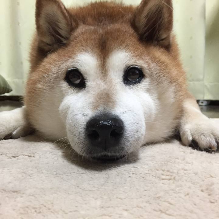 Ce4f5386 37c5 48a7 b6f6 c9356274b998 1559084175654