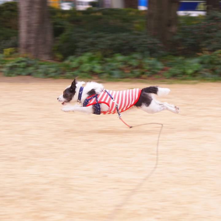 Ce4f6362 9124 4713 88b4 e5cf77016eb9 1551277301921