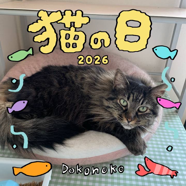 Ce4fb525 ec1c 4ad1 b5a9 70d304dd9210 1771803871526