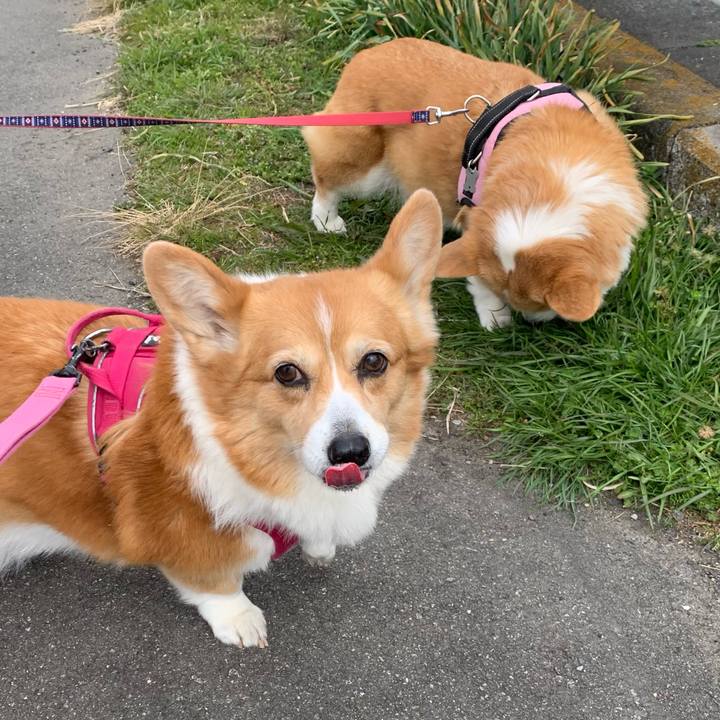 Ce4fcf28 2771 4f89 9c53 26e040c7d0dd 1709608578930