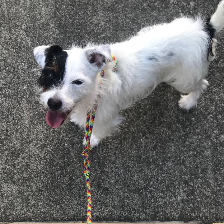 Ce50490e 1439 496a 8f2a d57820ddfb84 1535014621866