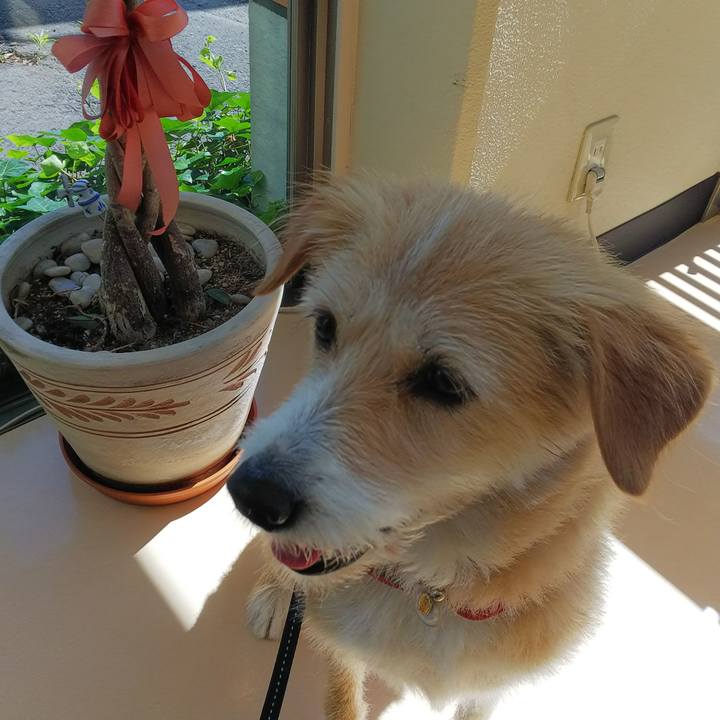 Ce5085c6 a256 482c b03e 8b89a08bd784 1529108070478