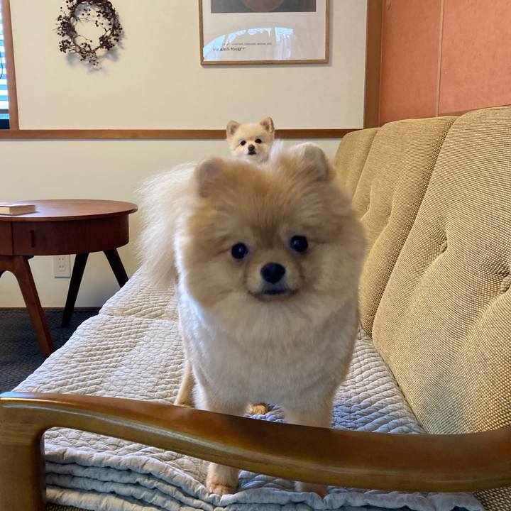 Ce50b670 146c 43b3 afca f274b6327558 1651388179424