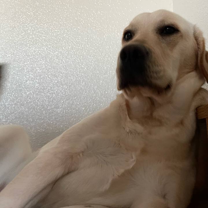 Ce50bb74 4ef9 4de0 994d c510c34d9d8b 1646538359252