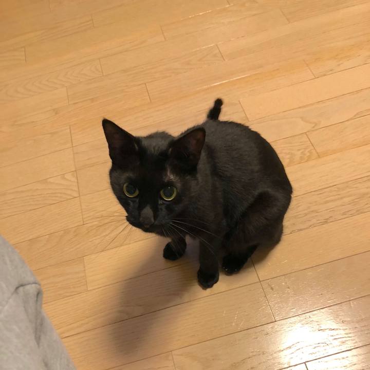 Ce50bdc1 158f 4451 9766 05fde069e94f 1525870878347