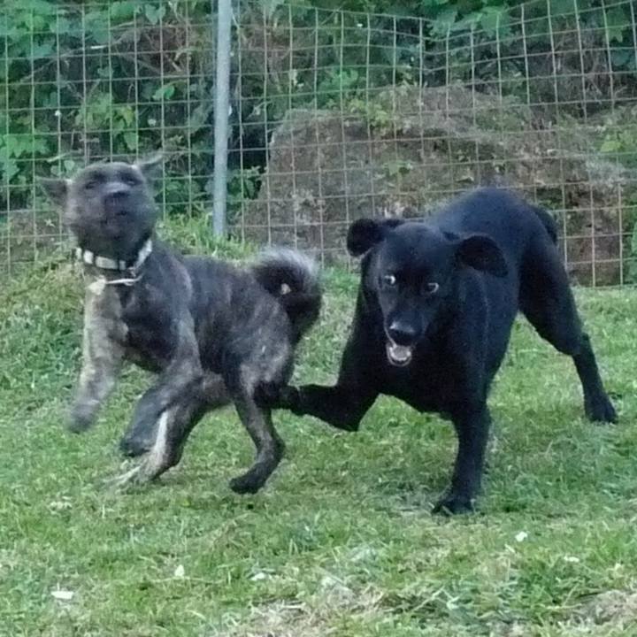 Ce50e39b 10a8 4c3d ade7 6c56d702a74b 1556690536767