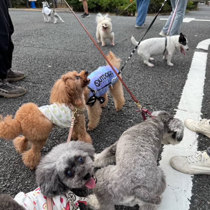 Ce515d46 a29a 4ca8 86e2 5d7494b18e9e 1757373913717