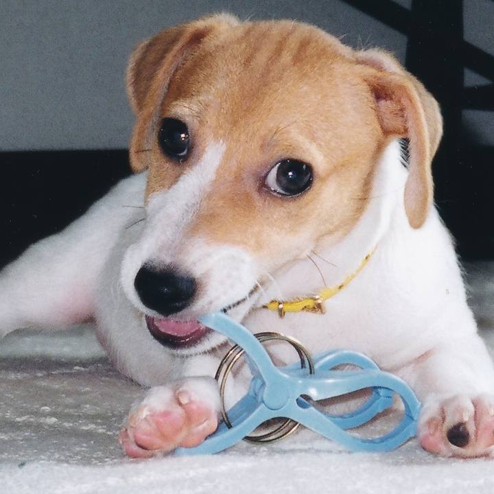 Ce517683 dd20 493f 81b8 434449b73bf9 1619093023182