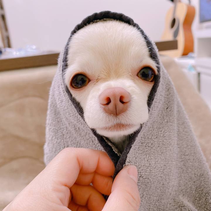 Ce51b8b5 04a8 4d0a a576 fd6e6bfc3802 1644741269114