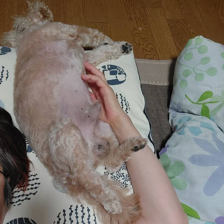 Ce52083f d6db 4d9e 8c11 a4e3c142a328 1688624454983