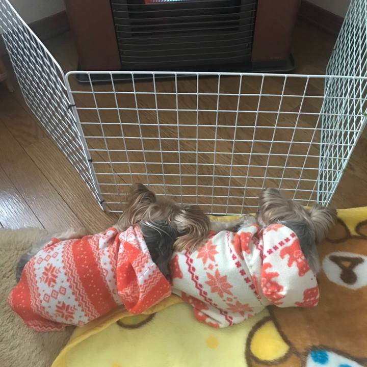 Ce5221e3 cdf0 45a2 a87f 086f535edbdc 1552257308420