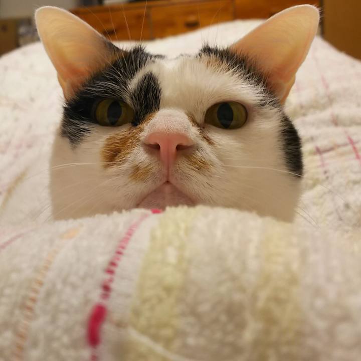 Ce5225ae 3bb3 49db b4ac fe3089106487 1553180776074