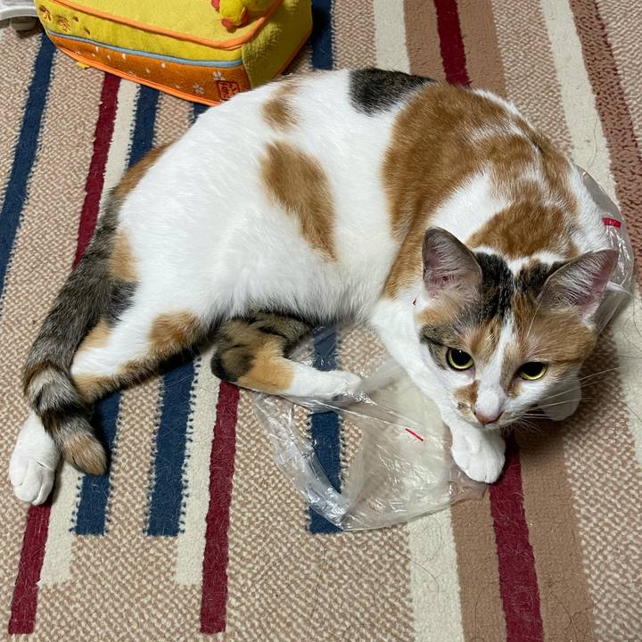 Ce5233c4 5ad1 4653 976b a4c6dd4c0b16 1629901854736