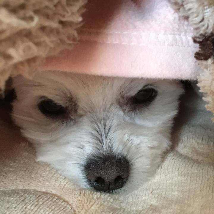 Ce5249e3 58bc 435c 9ad1 0d7a34087356 1515712253294