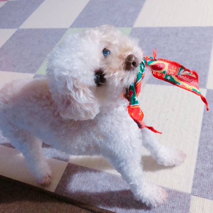 Ce52543d d9a5 45af b7b4 e2533481c302 1565482024324