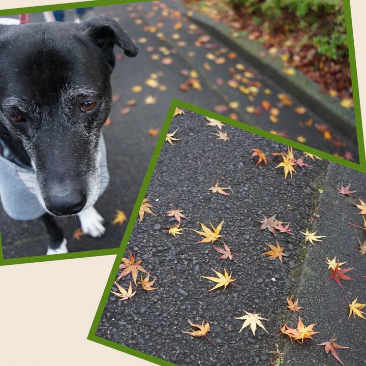 Ce5272a3 46aa 4cb2 a4f7 13c1a5a39f10 1766273960429