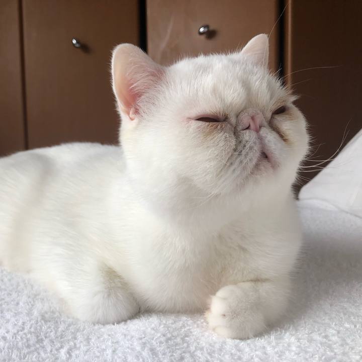 Ce52d321 7877 4377 a5d9 72d1f3411b4d 1619655687821