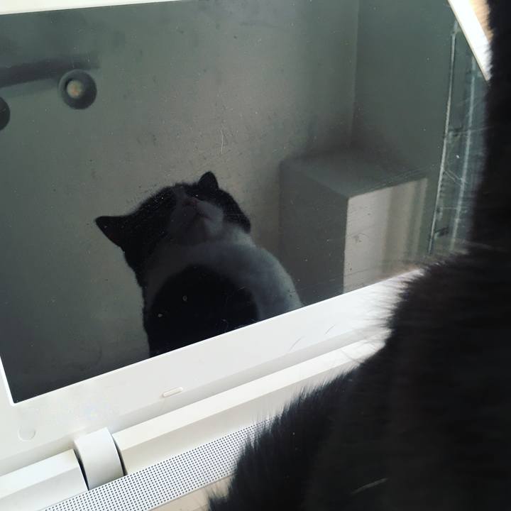 Ce52ef13 ea7f 477e 87ee 7bdca993432e 1609393166682