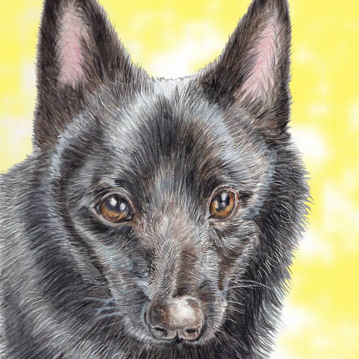 Ce52f312 5db6 4db4 a096 b08994629ce3 1671022289273