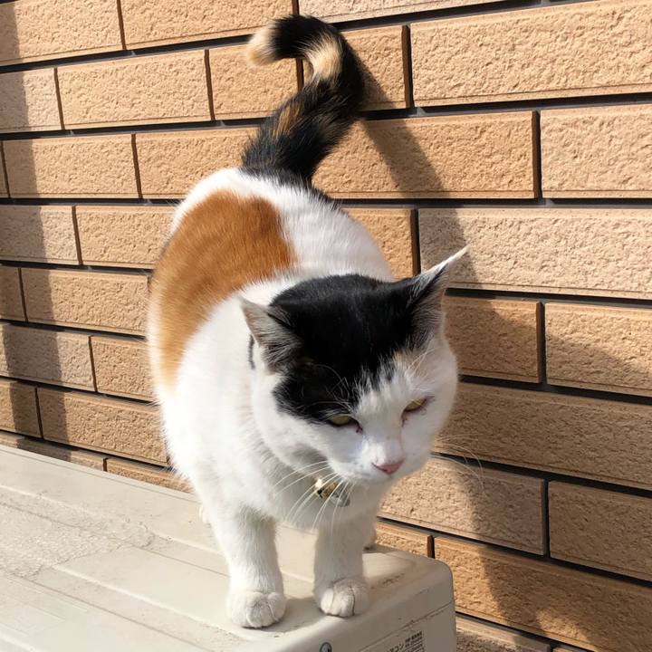 Ce52f50c 07e7 4040 8211 730cc5b83a12 1610109165141